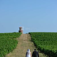 Ballade dans les vignes