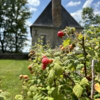 Dessert dans le verger !