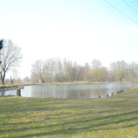 Étang à truites