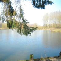 Étang à truites