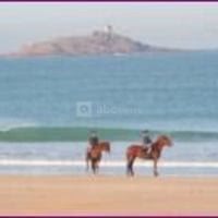Promenade à cheval à saint michel