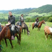 Equitation