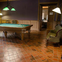 Espace lounge - billard français