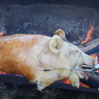 Cochon à la broche, en provenance de la ferme et préparé entièrement par nos soins