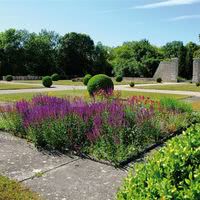 Le jardin à la française