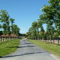 Haras du Bois d'Argile