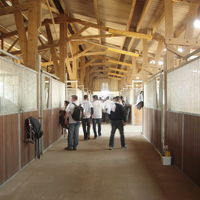 Visite écurie du centre de soins