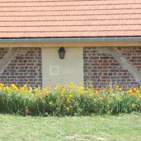 Paddock fleuri