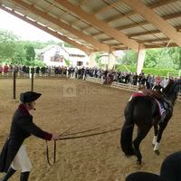 Spectacle sous le manège