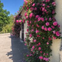 Nos extérieurs
