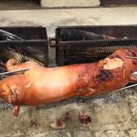 Cochon fermier à la broche