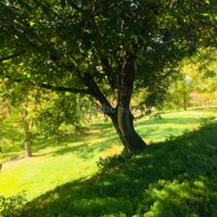 Parc autour du ranch