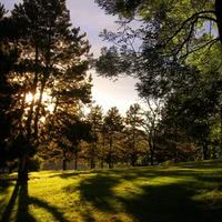 Notre parc