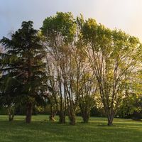 Le château des Vieux Melays