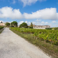 Château de France