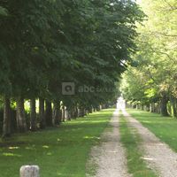 L'allée du château