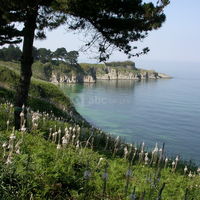 Salle Arletty Belle-Ile-en-Mer
