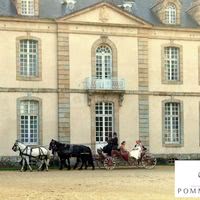 Chateau de Pommorio, salle de reception