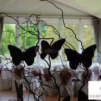 Chateau de Pommorio, salle de reception
