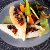VISUEL PLAT