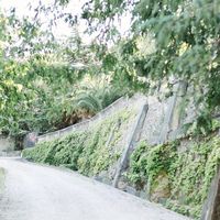 Domaine Bellavista
