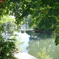 Vue sur la marne