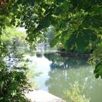 Moulin Vert