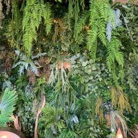 Vegetal Wall