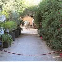 Le Pacha
