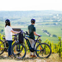 Balade à vélo électrique dans les vignes