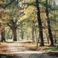 Domaine des Fontaines