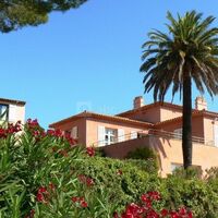 La villa rose