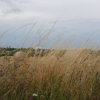 Tout alentour, la campagne...............