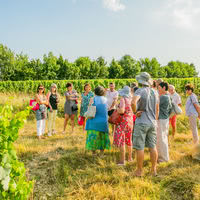 Route des vins