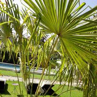 L'a propos_piscine