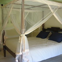 Unc chambre d'hôtes : l'exotique (suite)