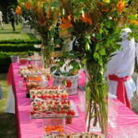 Décoration de cocktail