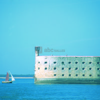 Fort boyard