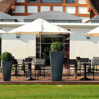 Terrasse des Champs-Élysées