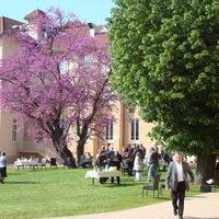 Domaine Lyon Saint Joseph