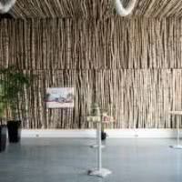 Beeotop - salle des bouleaux