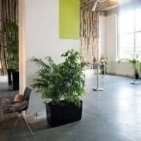 Beeotop - salle des bouleaux