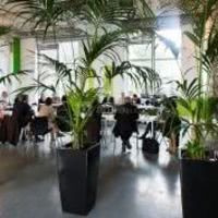 Beeotop - salle des bouleaux