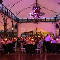 L'Orangerie en nocturne
