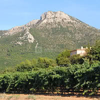 Vusur le mont aurélien