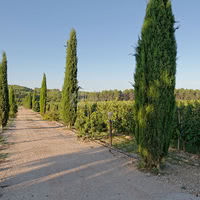 Le Domaine Haut Lirou