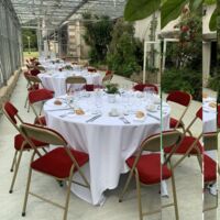 Déjeuner professionnel dans la serre d'orangerie