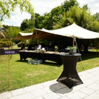 Cocktail déjeunatoire petit jardin de la grande salle