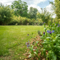 Jardin Nobuyoshi