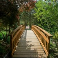 Pont du jardin Nobuyoshi